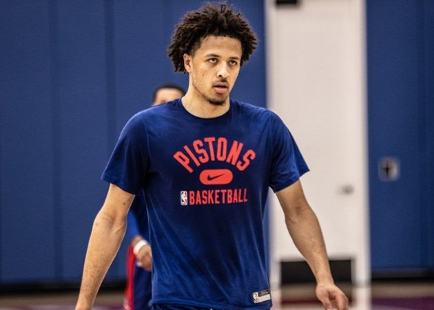 大量网友在 大量网友在